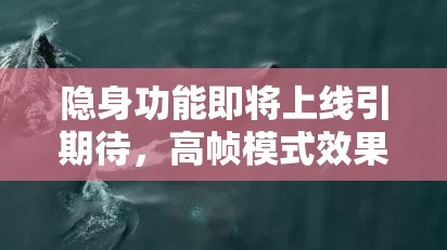 隱身功能即將上線引期待，高幀模式效果不佳，玩家全面攻略何在？