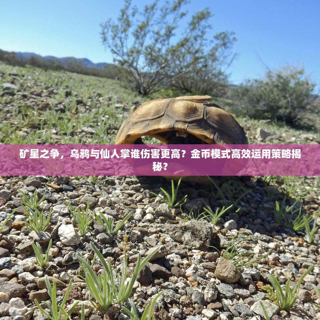 礦星之爭，烏鴉與仙人掌誰傷害更高？金幣模式高效運用策略揭秘？