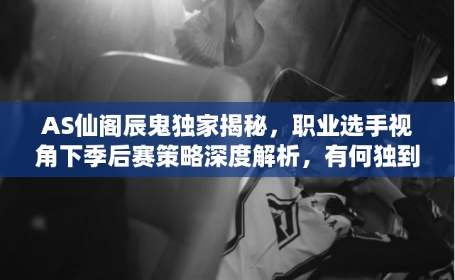 AS仙閣辰鬼獨(dú)家揭秘，職業(yè)選手視角下季后賽策略深度解析，有何獨(dú)到見解？