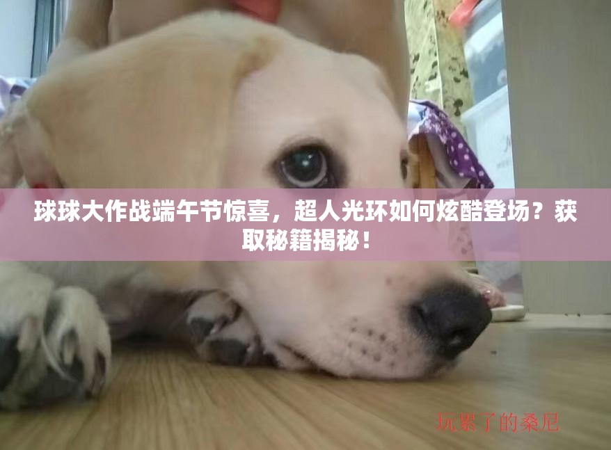 球球大作戰(zhàn)端午節(jié)驚喜，超人光環(huán)如何炫酷登場(chǎng)？獲取秘籍揭秘！