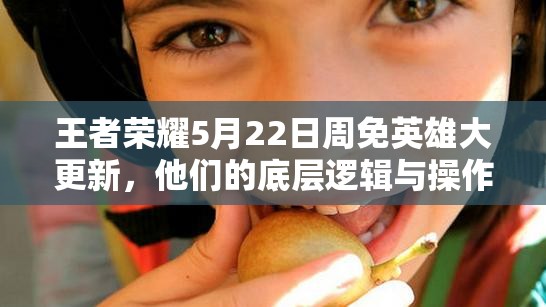 王者榮耀5月22日周免英雄大更新，他們的底層邏輯與操作有何深度變化？