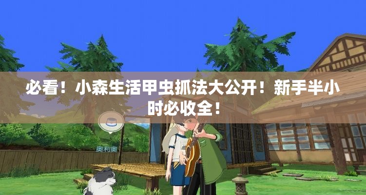 必看！小森生活甲蟲抓法大公開！新手半小時(shí)必收全！