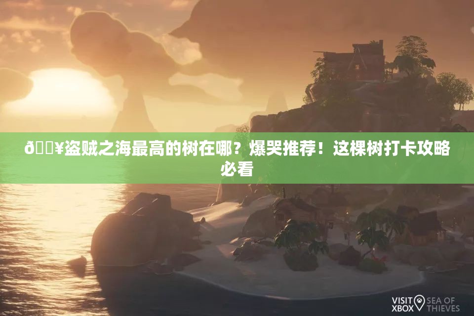 ??盜賊之海最高的樹在哪？爆哭推薦！這棵樹打卡攻略必看