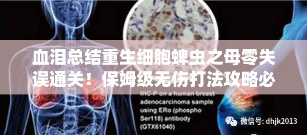 血淚總結(jié)重生細胞蜱蟲之母零失誤通關(guān)！保姆級無傷打法攻略必存